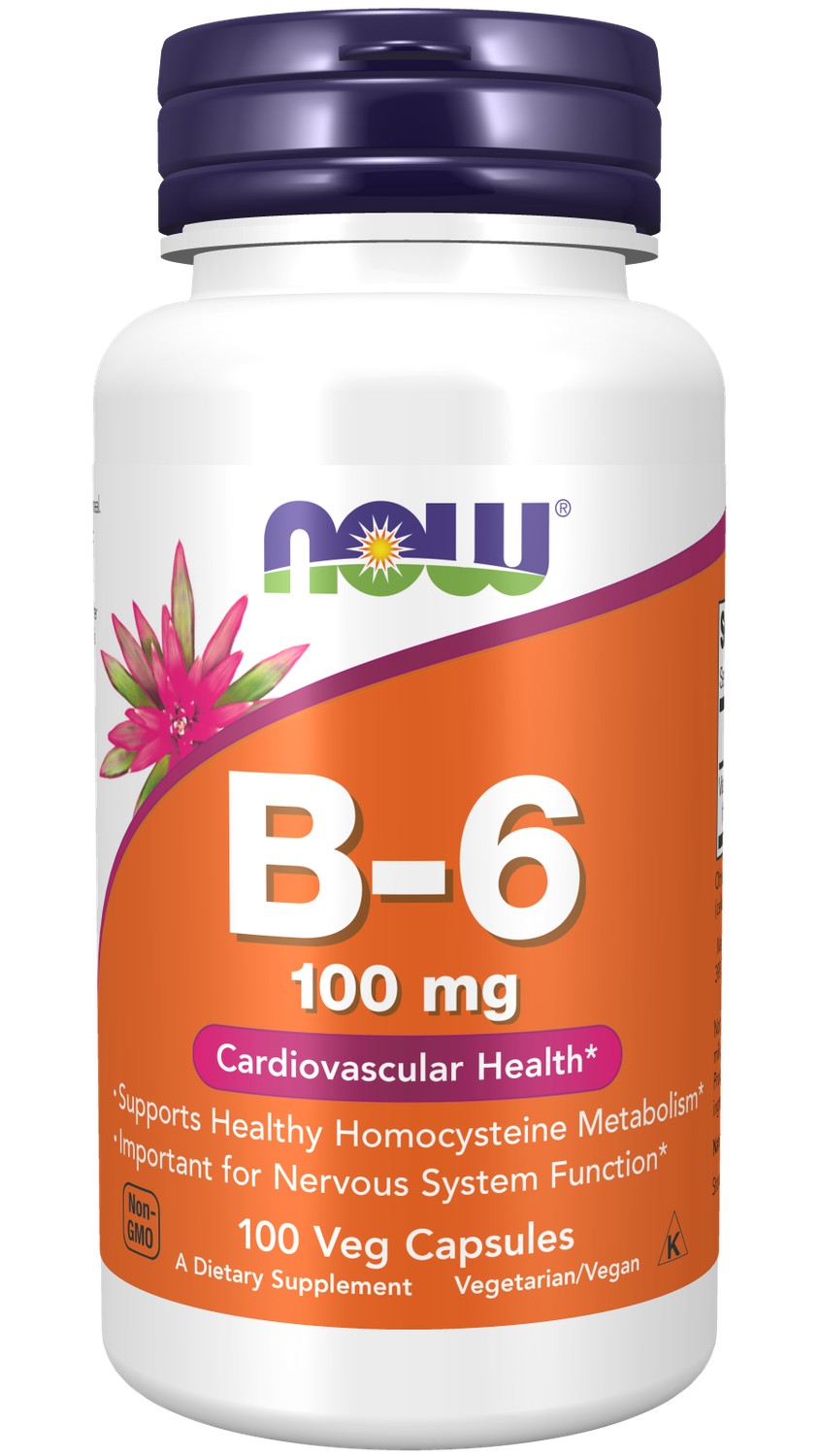 B-6 100mg  100 VCAPS