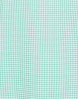 Collars &amp; Co. Relaxed Featherweight Flex Polo in Green Gingham