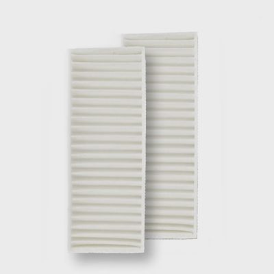 Central Vac Carbon Dust Filter 2 Pk