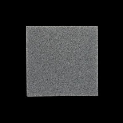 Filter Pre-Motor For Moon, Zazz, Jack, &amp; Snap Canister
