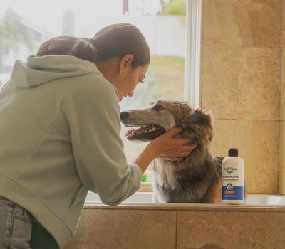 Fresh Wave Dog Shampoo (16 fl. oz.)