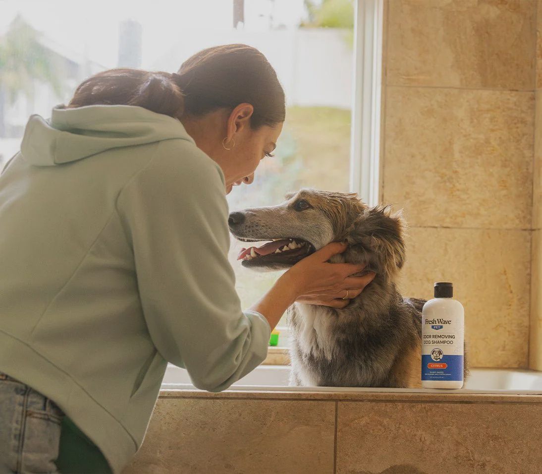 Fresh Wave Dog Shampoo (16 fl. oz.)