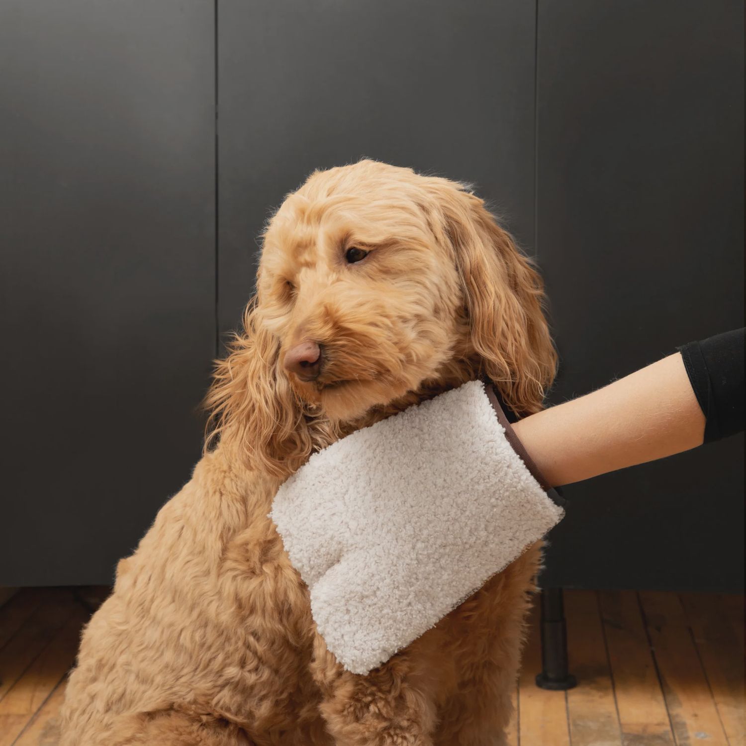 E-Cloth Pet Grooming & Massage Mitt