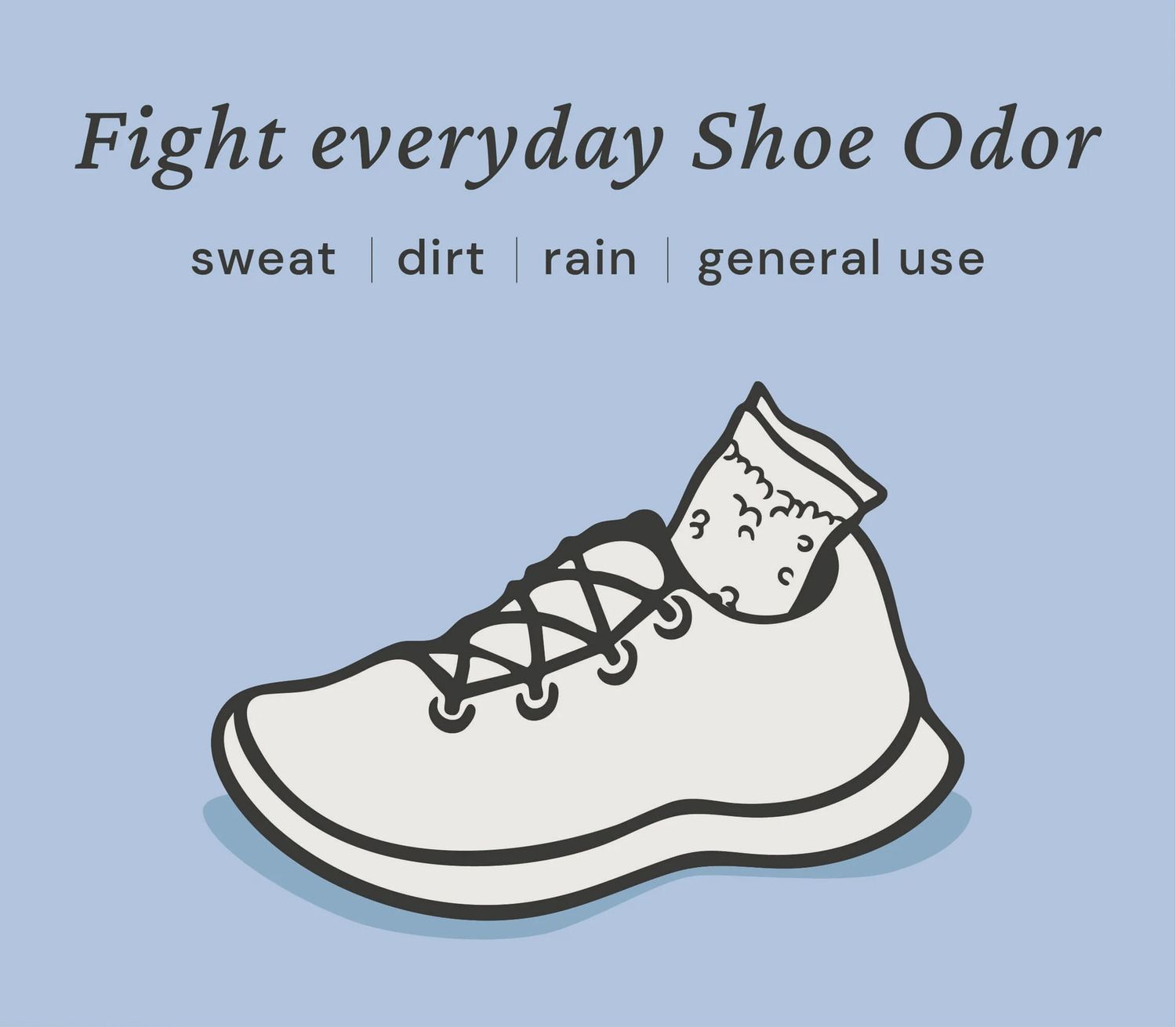 Fresh Wave Shoe Deodorizer (2 ct.)