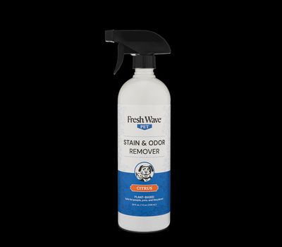 Stain &amp; Odor Remover (24 fl. oz.)