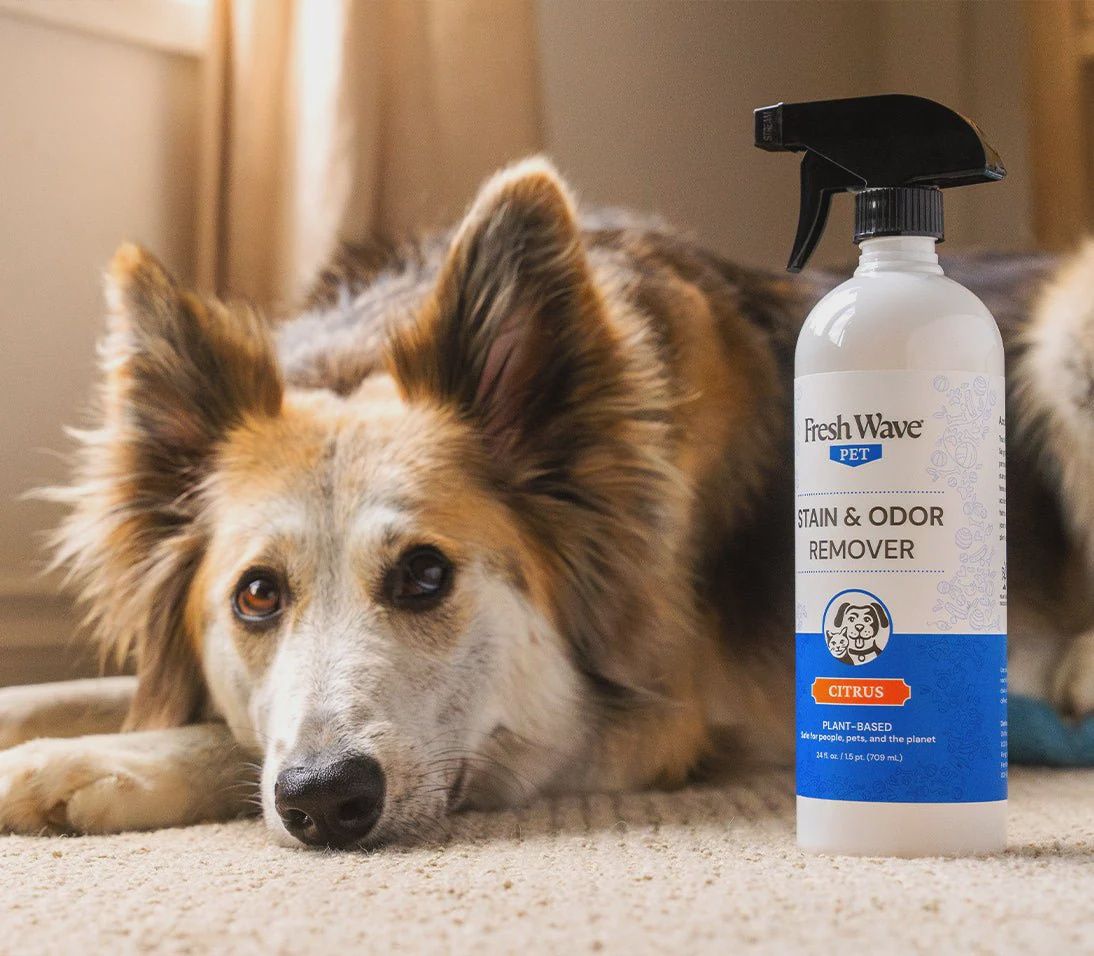 Fresh Wave Stain & Odor Remover (24 fl. oz.)