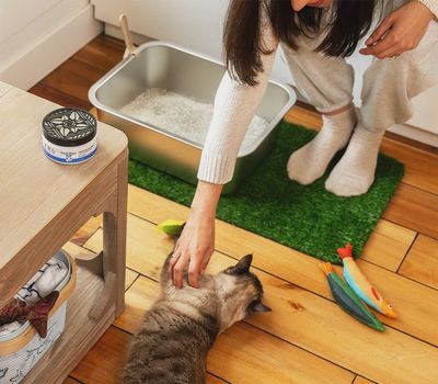 Fresh Wave Premium Litter Box Odor Eliminator Gel (7 oz.)