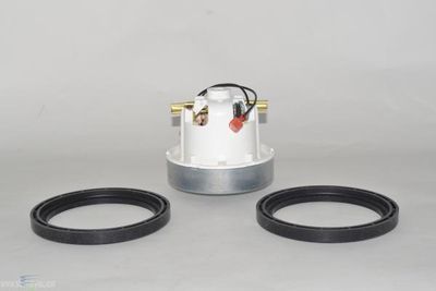 Motor, For ProTeam GoFree Cordless, 36 Volt, With GASKET