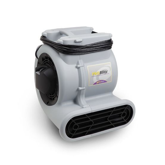 ProTeam ProBlitz Airmover 107132