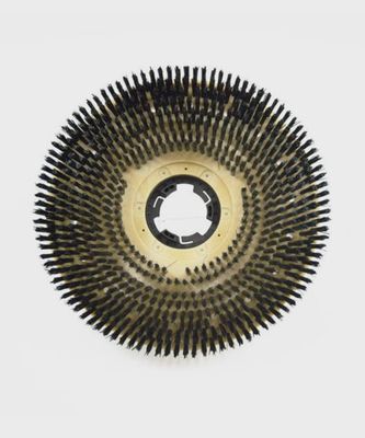 11&quot; Hard Poly Scrub Brush, for 13&quot; Machines HP211M