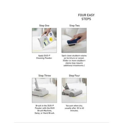 Sebo Duo Carpet & Upholstery Cleaning System