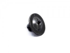 Screw, Metal, Rear Fork Plate Cover Screw, For Kirby G3-Avalir II