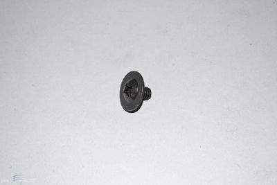 Screw, Metal, Rear Fork Plate Cover Screw, For Kirby G3-Avalir II