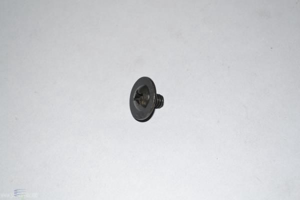Screw, Metal, Rear Fork Plate Cover Screw, For Kirby G3-Avalir II