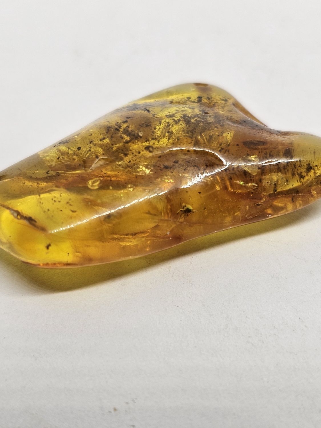 amber with insect