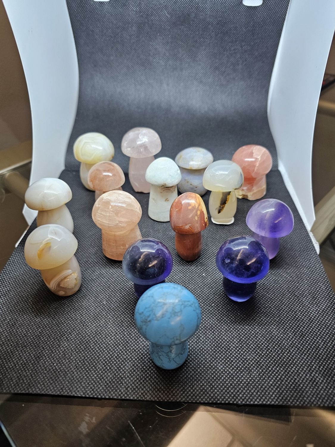 55mm various mushrooms