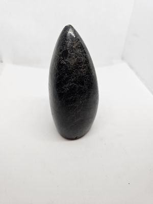 Orthoceras cone