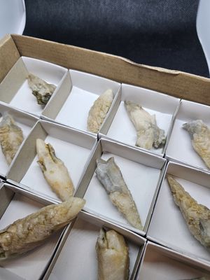 dogs tooth calcite drusy quarts covered points