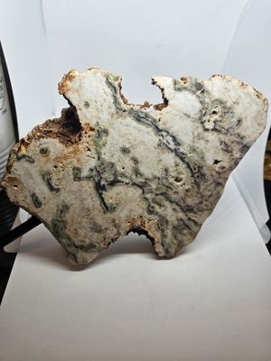 Indian tree agate slab