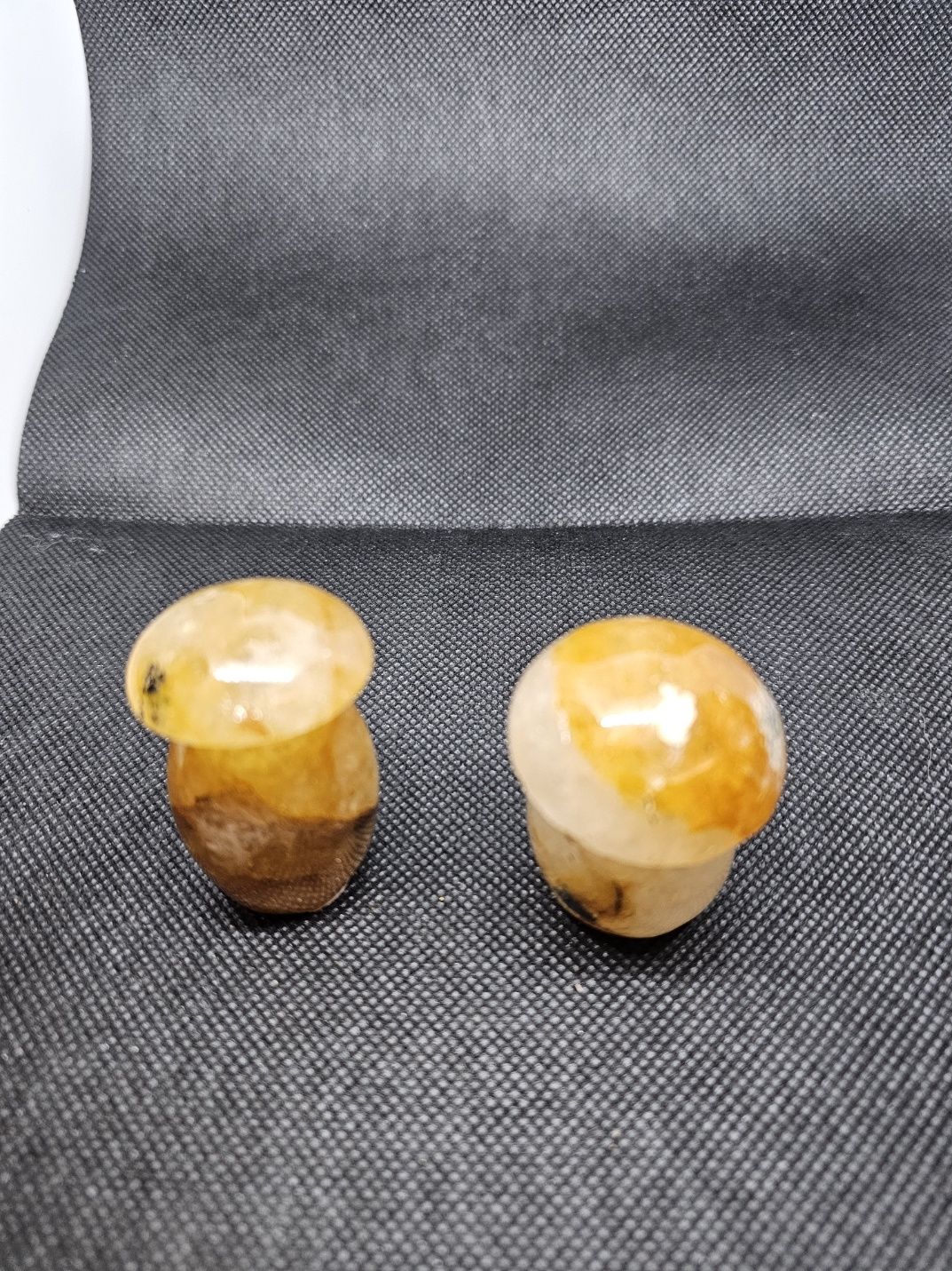 golden healer mushroom