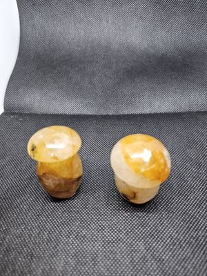 golden healer mushroom