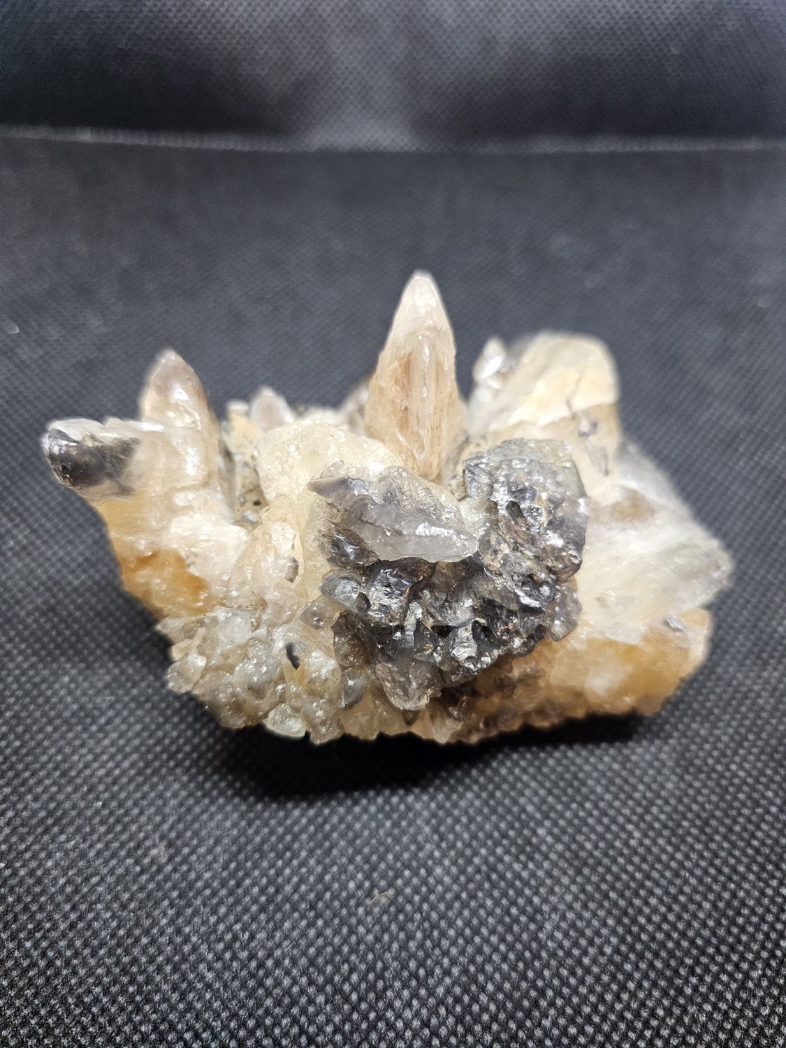smokey dogs tooth specimen