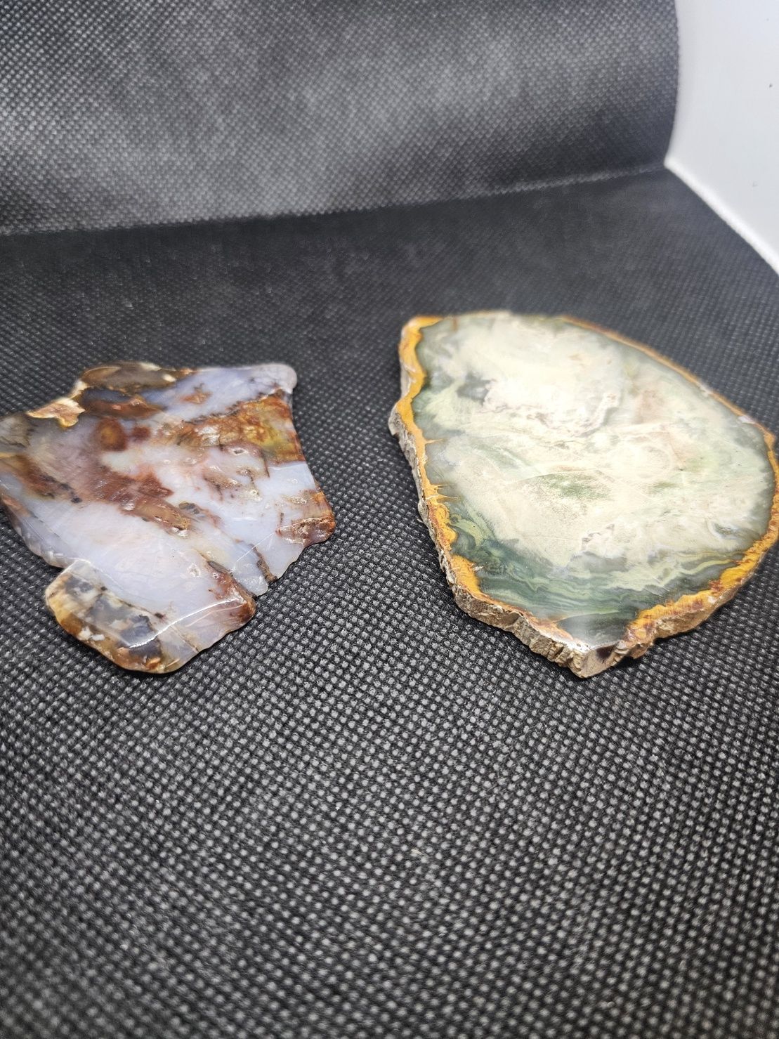 petrified wood slices