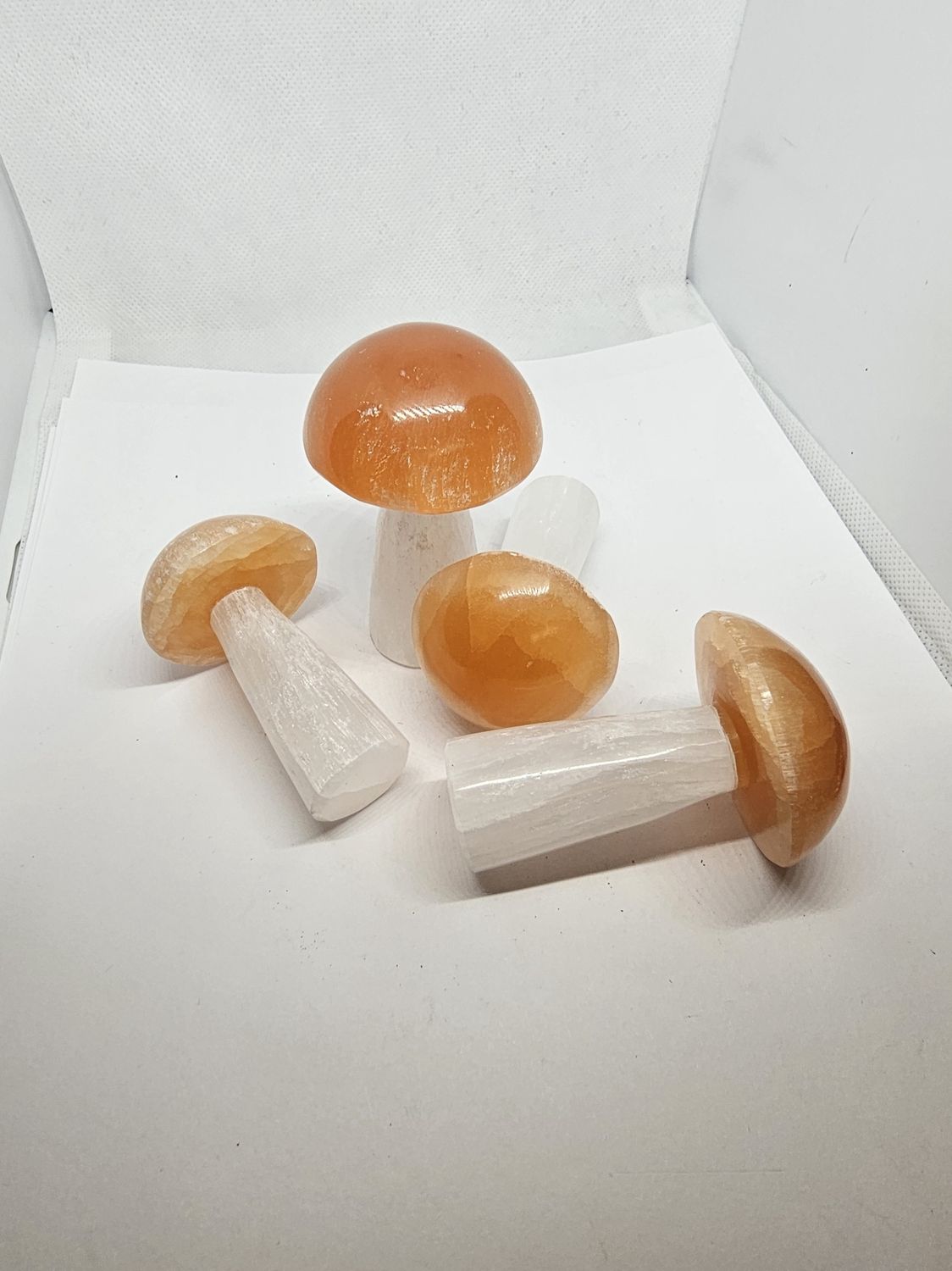 peach cap selenite mushrooms