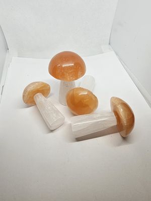 peach cap selenite mushrooms