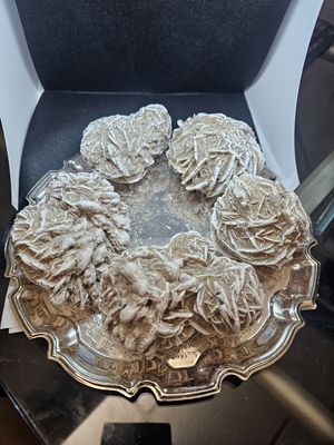 medium desert rose