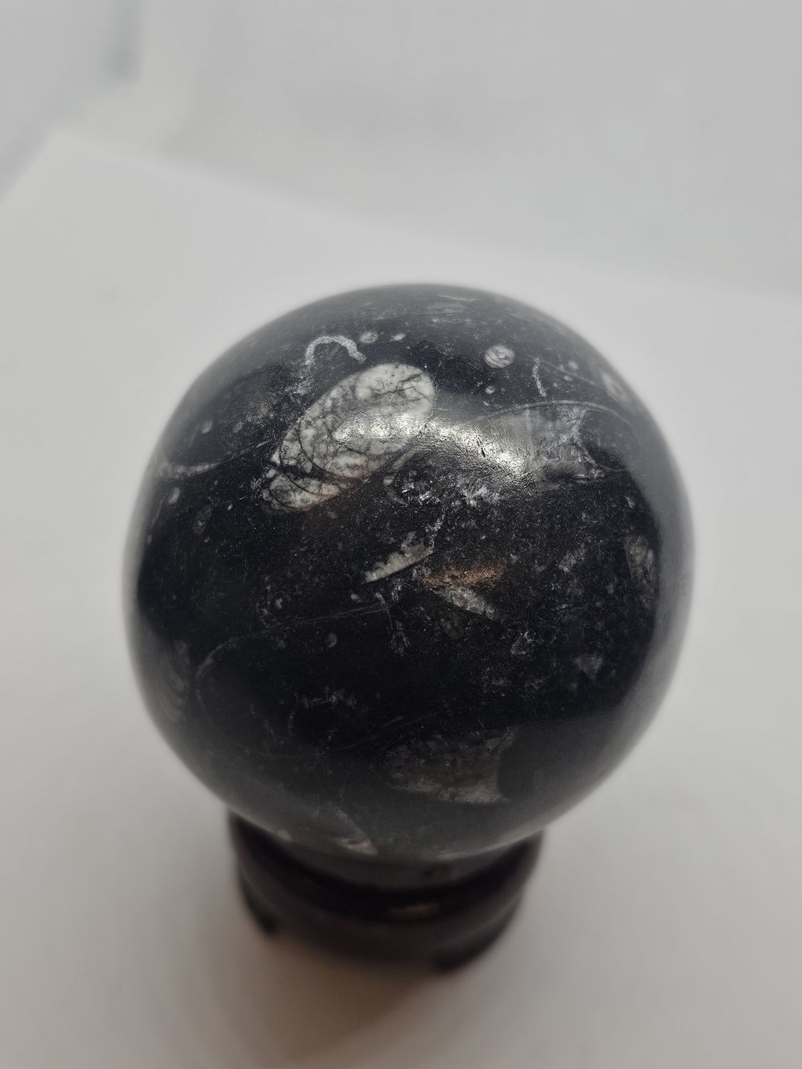 fossle sphere..