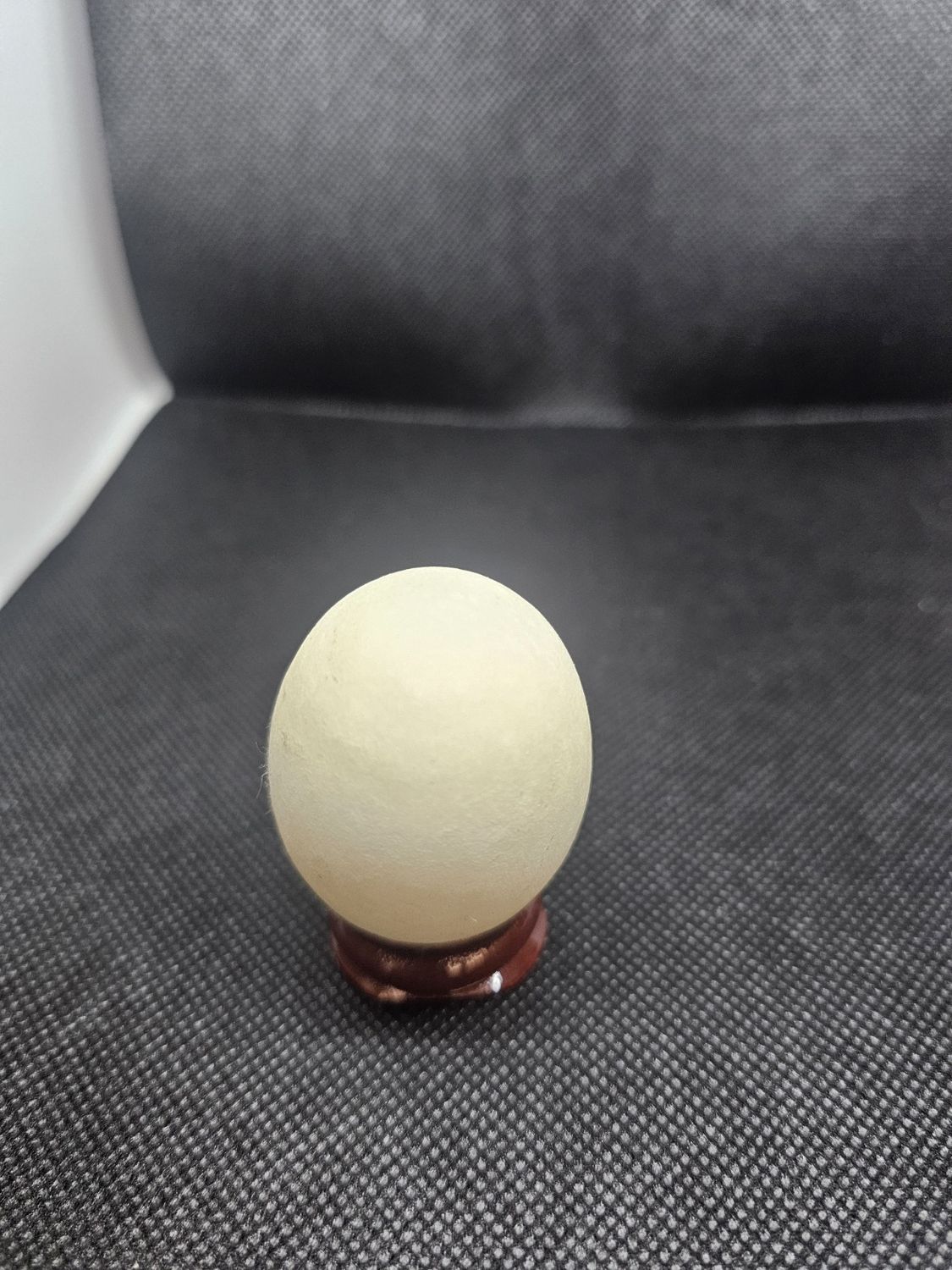 glowey egg 40mm