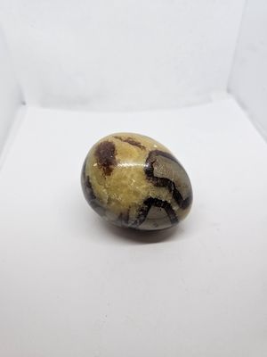 septarian egg