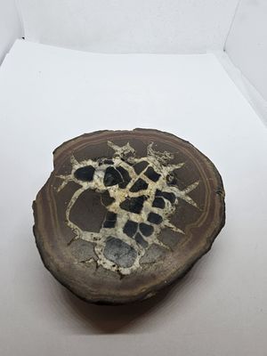 septarian fossil nodule