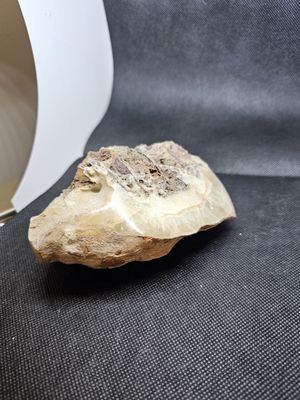 medium stalactite