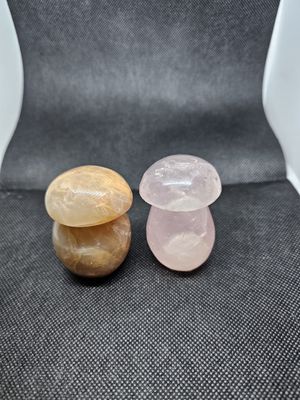 65mm mushroom