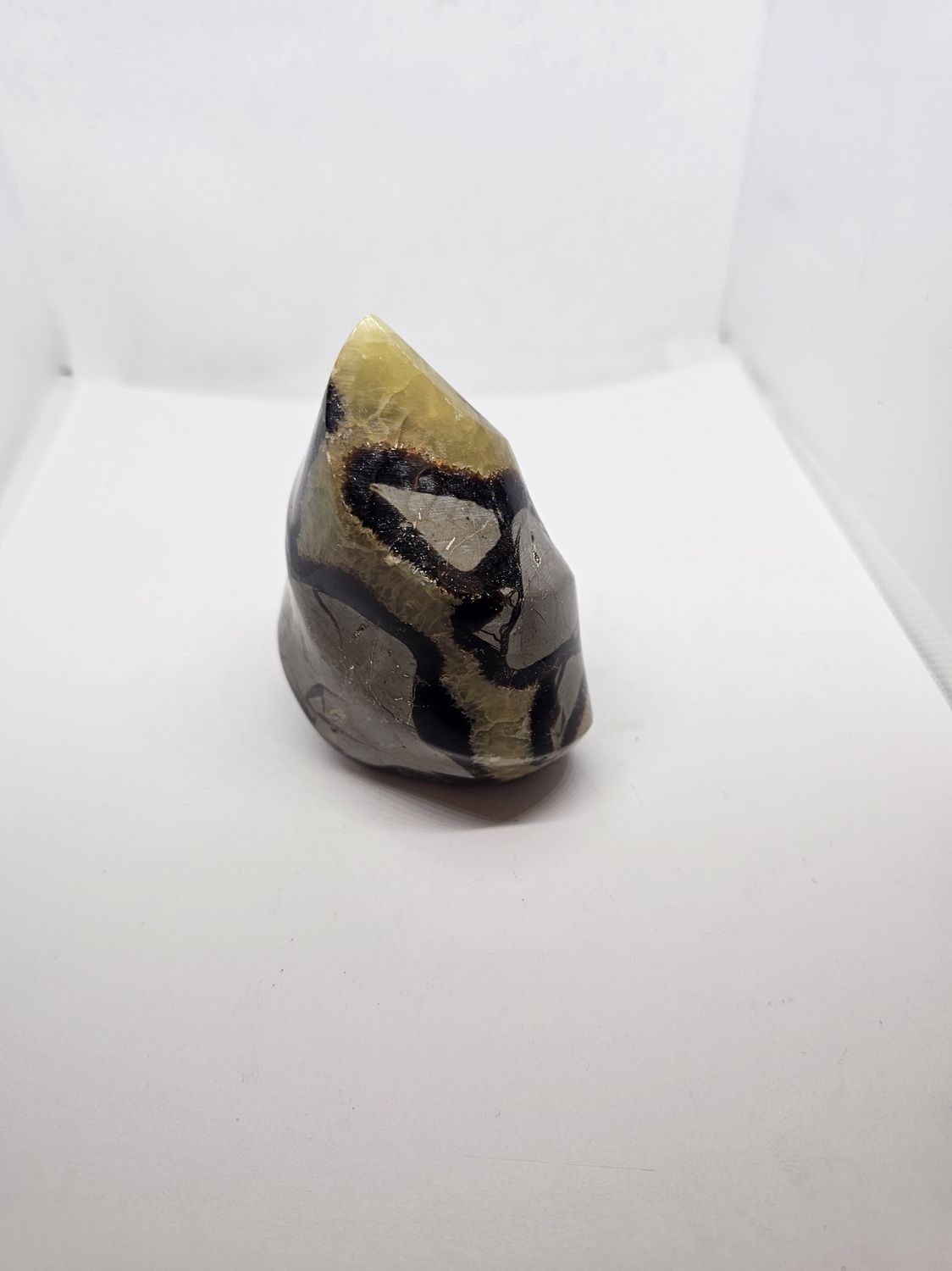 medium septarian flame