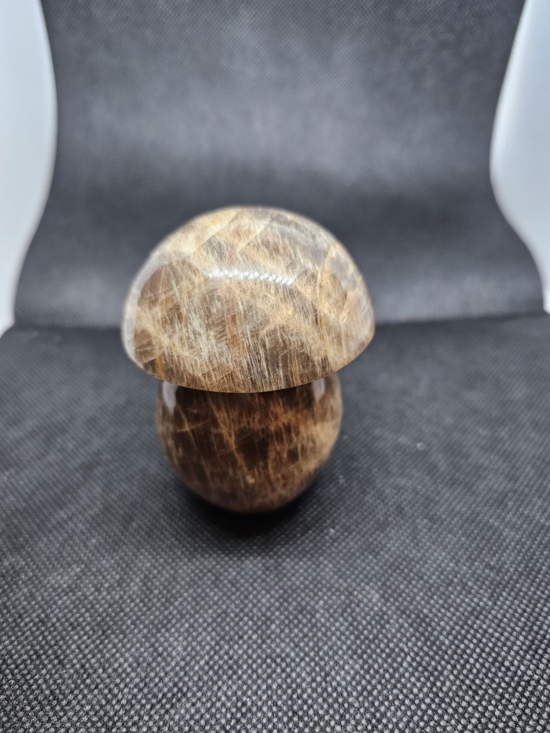brown moonstone mushroom