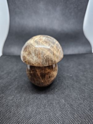 brown moonstone mushroom