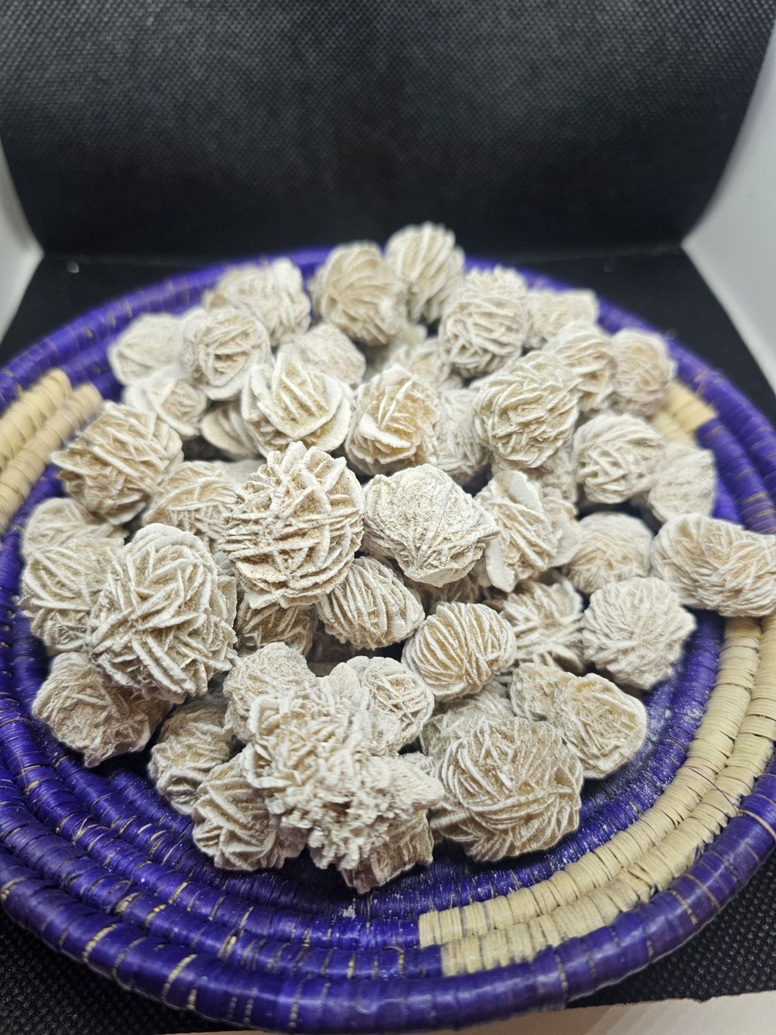 small desert rose
