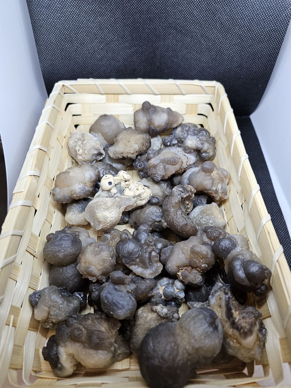 witches warts