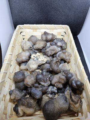 witches warts