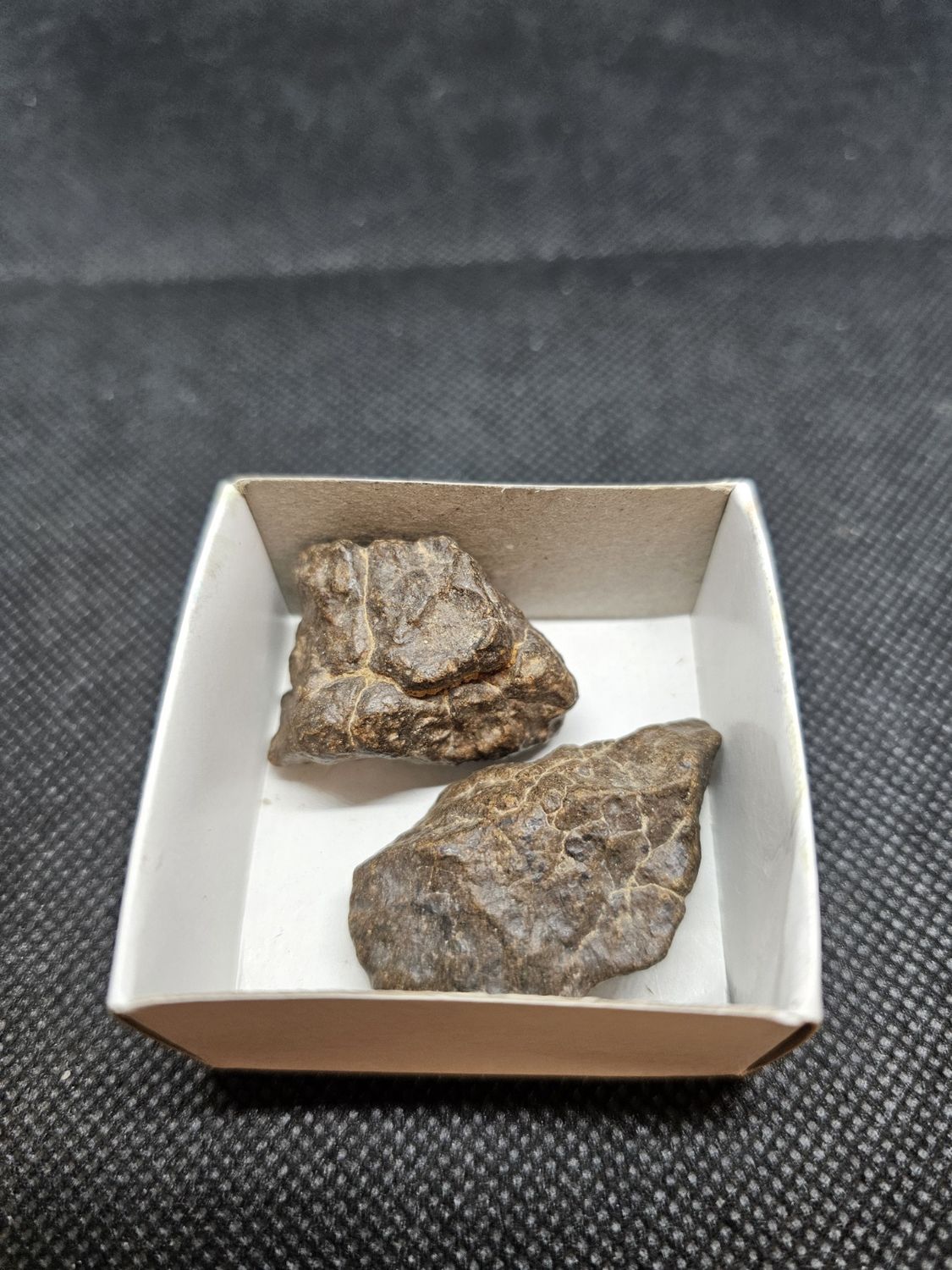 stoney meteorite