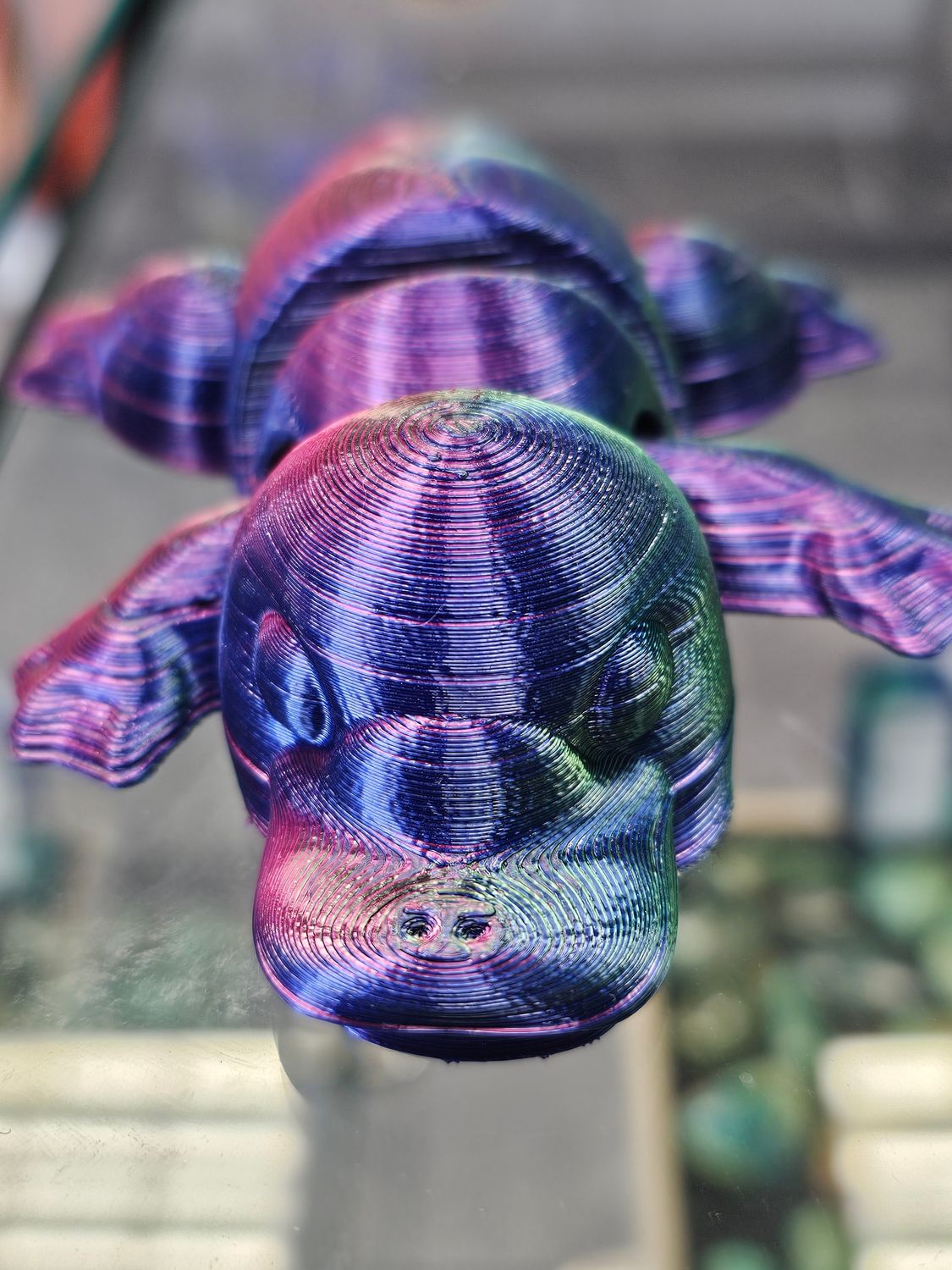 platypus