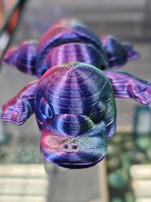 platypus