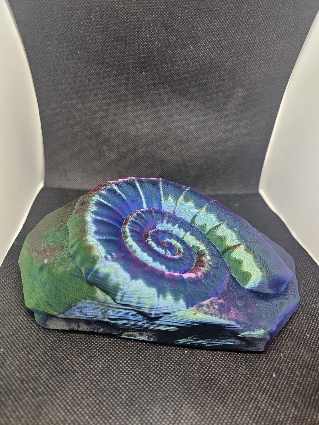 3D ammonite