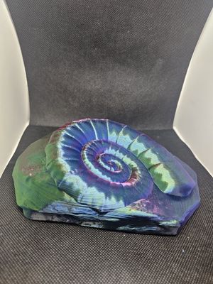 3D ammonite