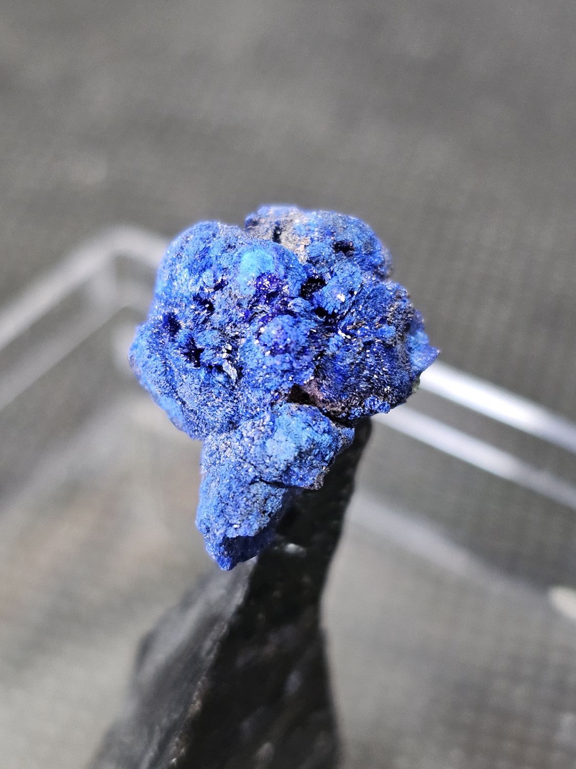 #7 azurite specimen