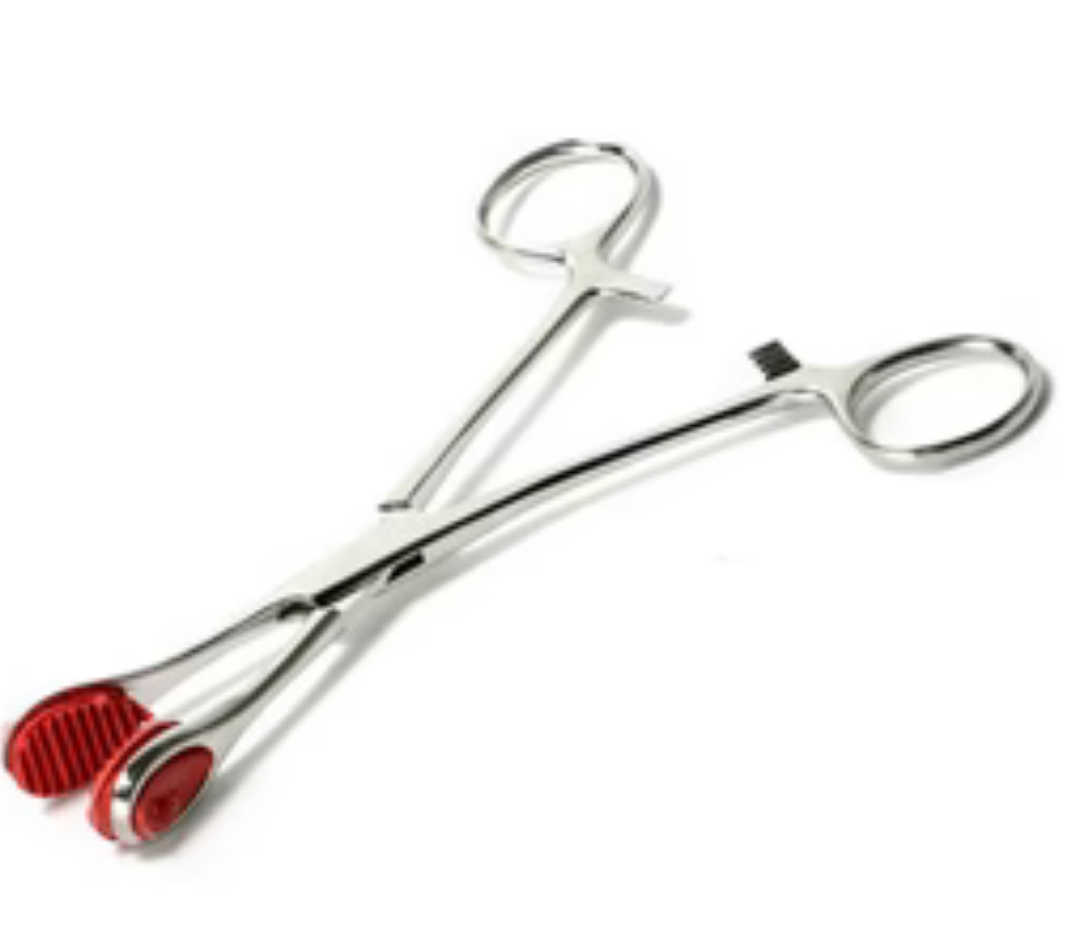 3213 Young Forceps
