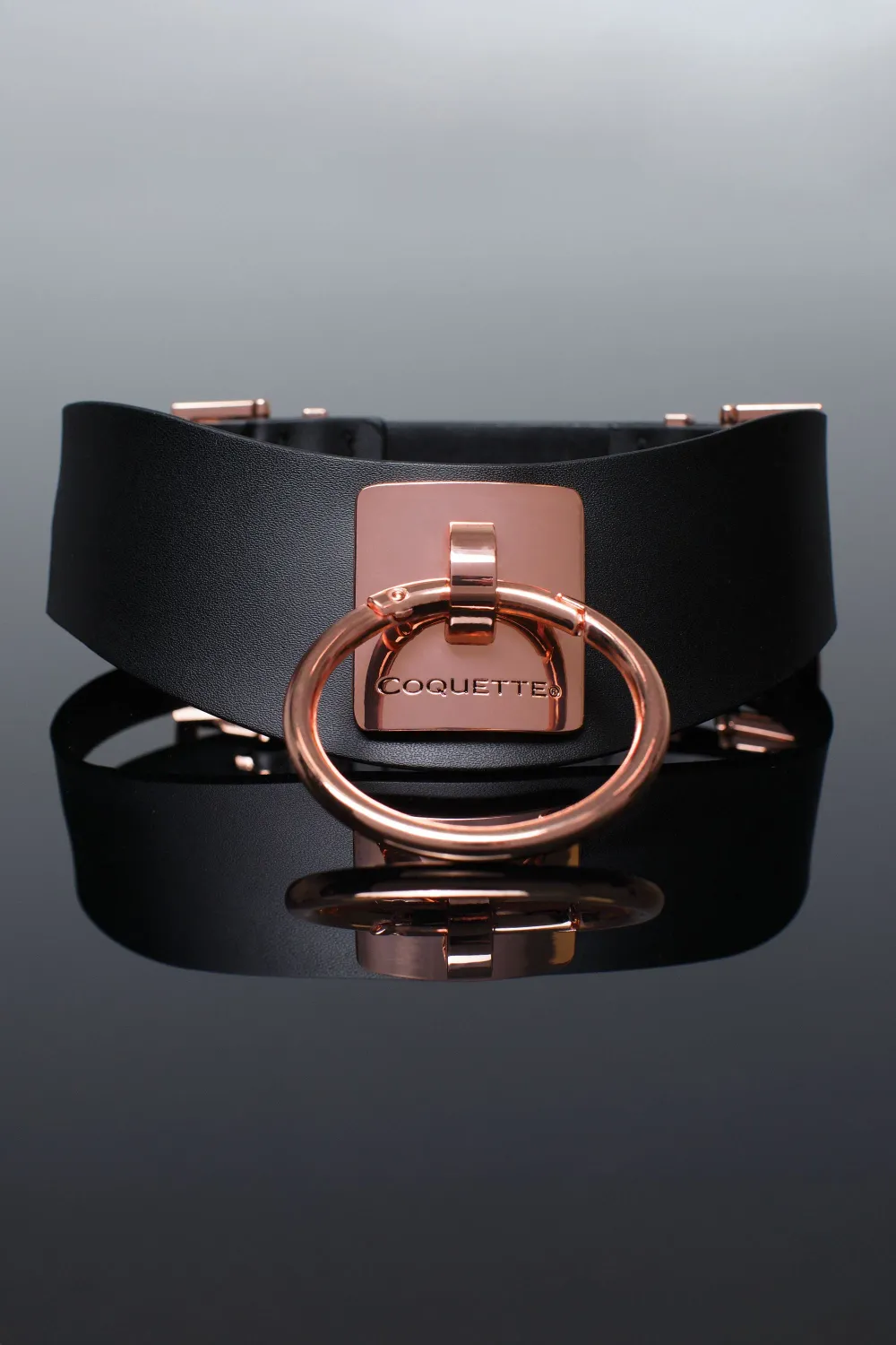 22525 Collar